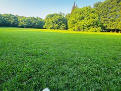 -上海共青森林公园