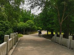 -梁鸿国家湿地公园