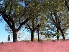 -汉长安城未央宫国家考古遗址公园