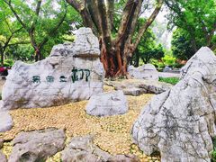 -柳侯公园