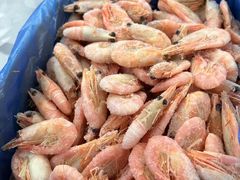 -海鲜冷冻副食批发市场(和生国际店)