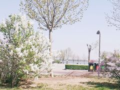 -武清南湖绿博园