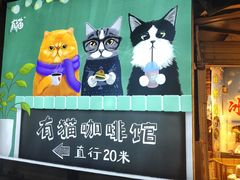 门面-有猫主题·治愈系猫咖(曾厝垵店)