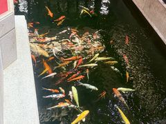 -龙悦湾酒家·八阵鱼生·渔人码头店