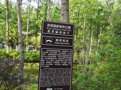 -合肥滨湖国家森林公园