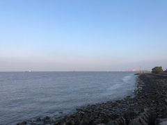 -上海滨江森林公园