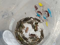 -奉贤海滩
