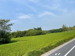 -良渚古城遗址公园