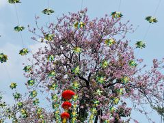 -广州市白云山风景名胜区