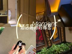 -素可汤泉(天宝大厦店)