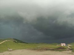 -乌兰布统景区-白桦林