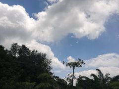 -广州市帽峰山景区