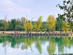 -三圣花乡旅游区