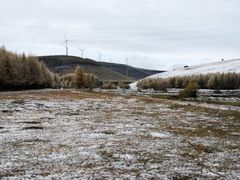 -塞罕坝国家级自然保护区