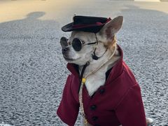 -优衣库(银座店)