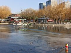 -莲花池公园
