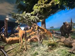 -国家自然博物馆