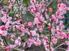 -上海滨江森林公园