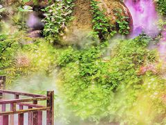 -呀诺达热带雨林