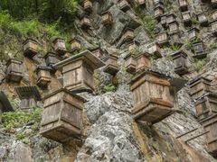 -神农架景区