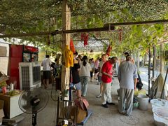 -马陆小张葡萄园农家乐