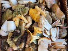 -山菌美食苑(振兴路店)