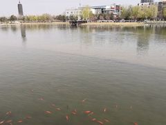-西海子公园