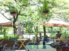 露天位-缘生态云南菜·野生菌庭院餐厅(华侨城店)