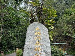 -普洱太阳河森林公园
