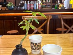 -沏点Trattoria意大利餐厅(新街口店)