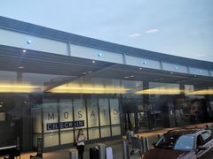 -约翰·菲茨杰拉德·肯尼迪国际机场