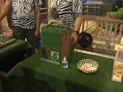-清迈夜间动物园