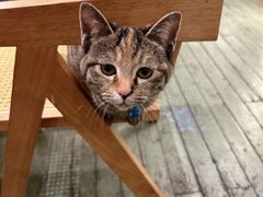 -大象厨房(重庆道店)