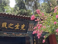 -武侯墓风景区