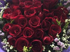 -维也纳KTV(平阳西路店)