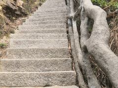 -梧桐山风景名胜区