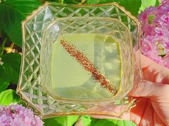 -谷咖啡·鲜花绿植花园餐厅