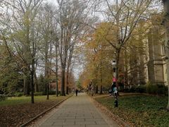 -普林斯顿大学