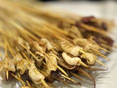 -长药唐师乐山油炸(石人直营店)