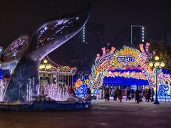 -海合安成都极地海洋公园