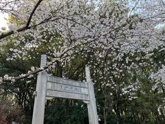 -苏州上方山国家森林公园