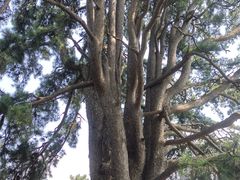 -终南山南五台景区