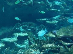 -海合安武汉极地海洋公园