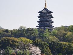 -西湖外事游船(花港观鱼码头)