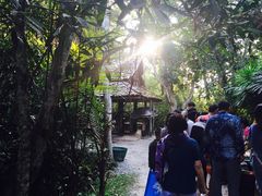 -Bamboo Saturday Market(Nana Jungle)