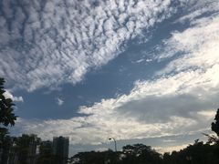 -武吉知马自然保护区