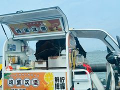 -汕尾风车岛