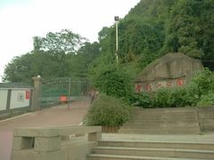 -金鸡山公园
