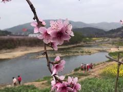 -青林口古镇