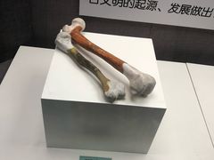 -东北民族民俗博物馆